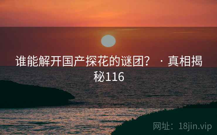 谁能解开国产探花的谜团？ · 真相揭秘116