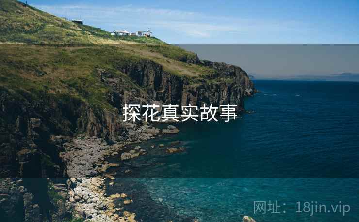 探花真实故事