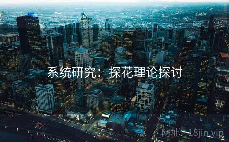 系统研究：探花理论探讨