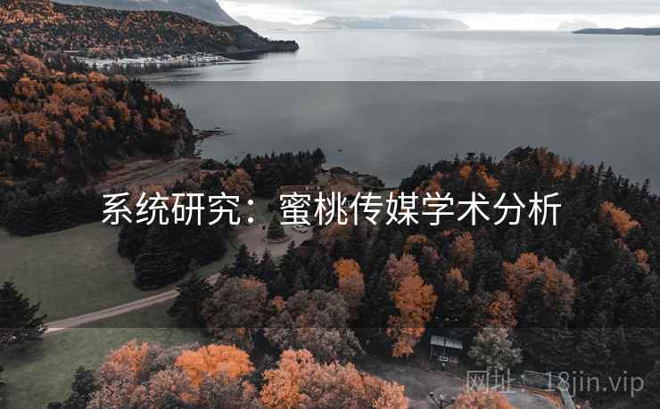 系统研究：蜜桃传媒学术分析