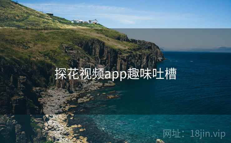 探花视频app趣味吐槽