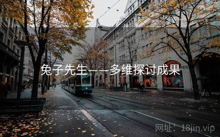 兔子先生——多维探讨成果