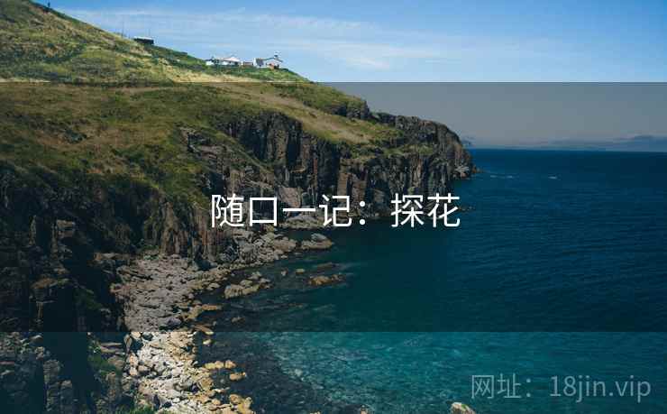 随口一记：探花