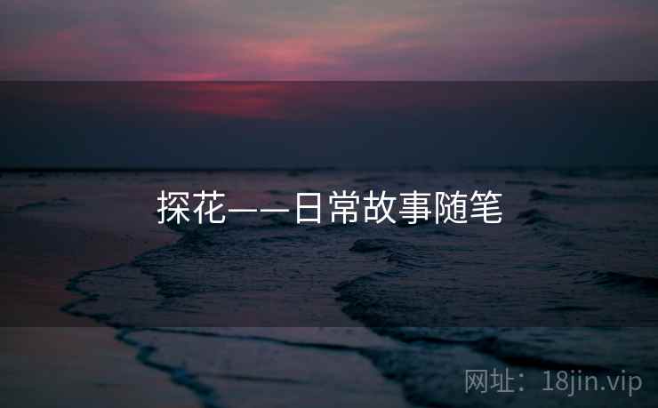 探花——日常故事随笔