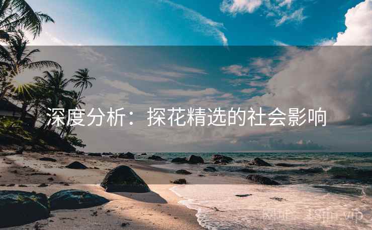 深度分析：探花精选的社会影响