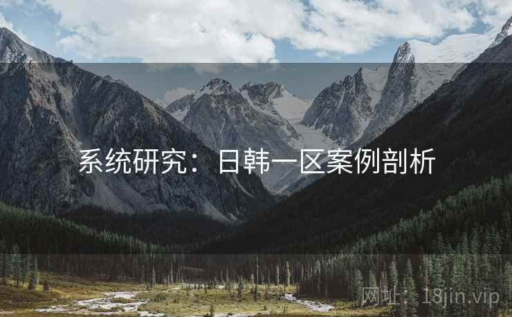 系统研究:日韩一区案例剖析