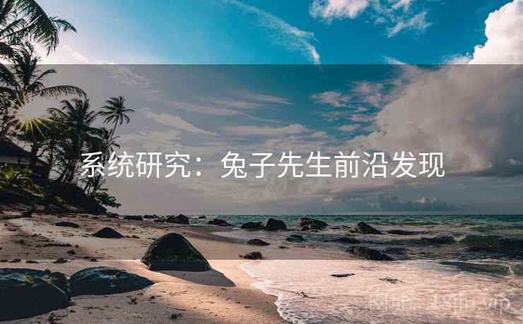 系统研究:兔子先生前沿发现