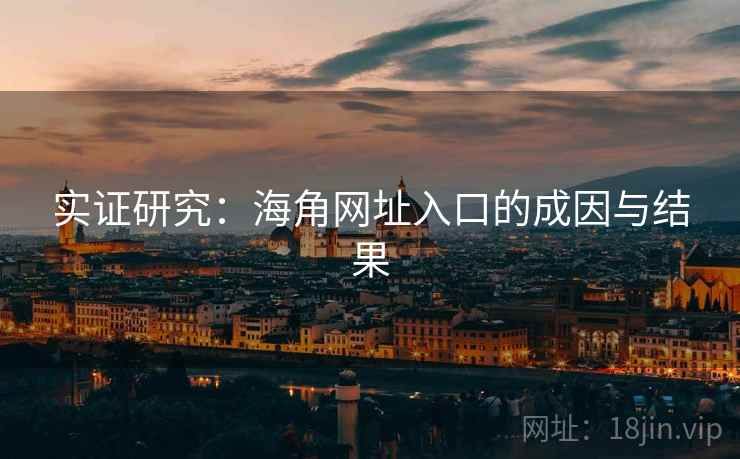实证研究：海角网址入口的成因与结果