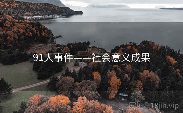 91大事件——社会意义成果