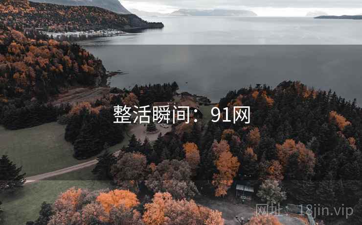 整活瞬间:91网
