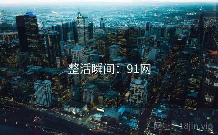 整活瞬间:91网