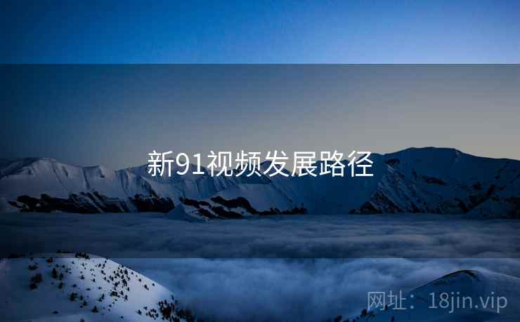 新91视频发展路径