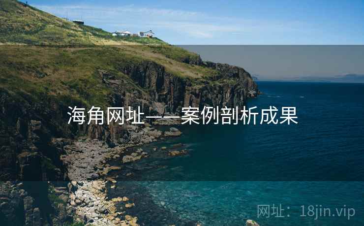 海角网址——案例剖析成果