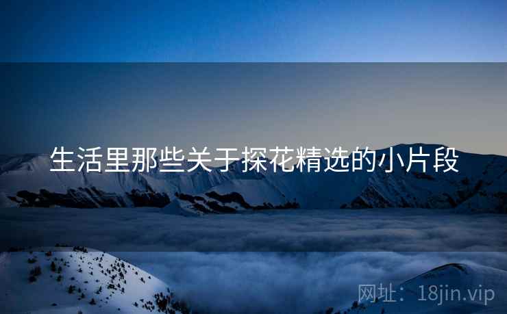 生活里那些关于探花精选的小片段