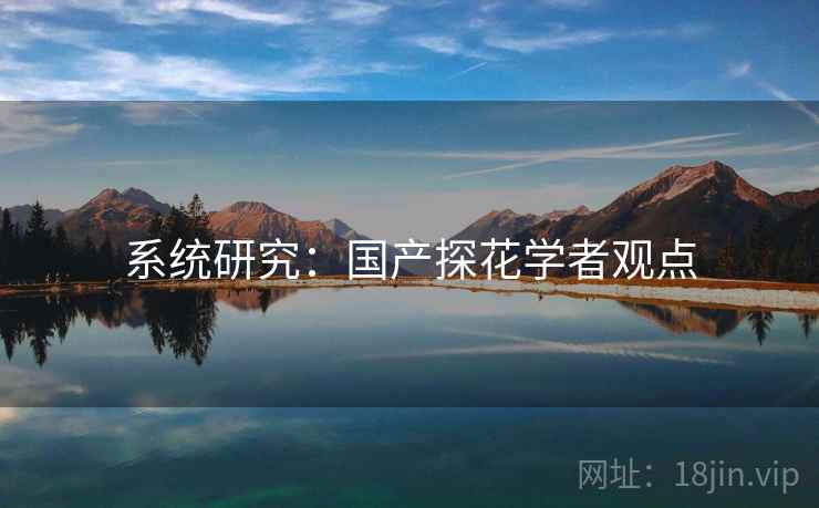系统研究：国产探花学者观点