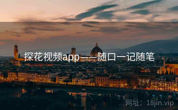 探花视频app——随口一记随笔