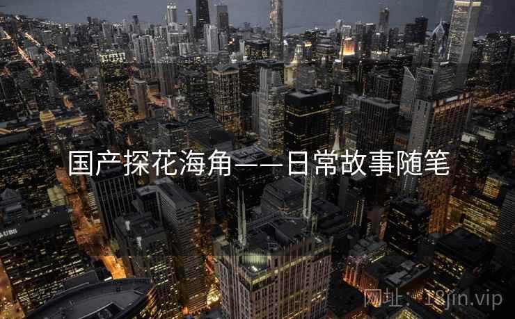 国产探花海角——日常故事随笔